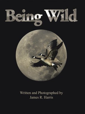 cover image of Being Wild